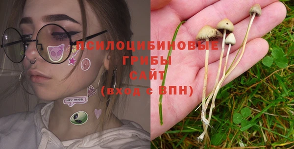 ГАЛЛЮЦИНОГЕННЫЕ ГРИБЫ Балахна