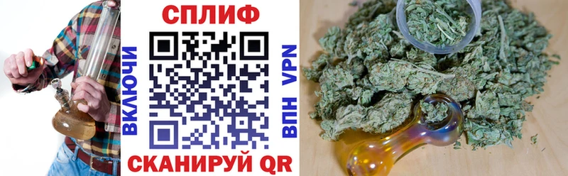 Каннабис план  наркошоп  Кущёвская 